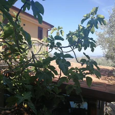 Agricoltura Rascio San Mauro Cilento
